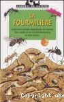 La fourmilière vignette