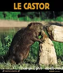 Le castor vignette