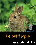 Le petit lapin vignette