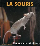 La souris vignette
