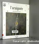 L'araignée, petite fée de la soie vignette