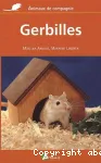 Gerbilles vignette
