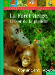 La forêt vierge, trésor de la planète vignette