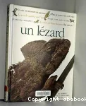 Qui suis-je ? un lézard vignette
