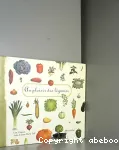 Au plaisir des légumes vignette