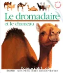 Le dromadaire et le chameau vignette