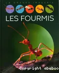 Les fourmis vignette