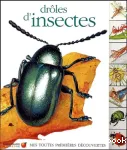 Drôles d'insectes vignette