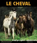 Le cheval vignette
