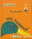 C'est comment un canard vignette