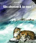 Un chaton à la mer ! vignette
