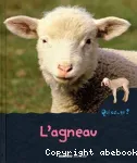 L' agneau vignette
