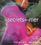 Les secrets de la mer vignette