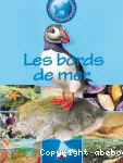 Les bords de mer vignette