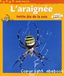 Araignee : petite fee de la soie vignette