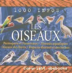 Les oiseaux vignette