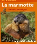 La marmotte vignette