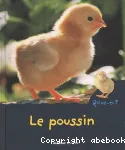 Le poussin vignette
