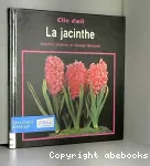 La jacinthe vignette