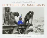 Petits bleus dans Paris vignette