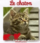 Le chaton vignette