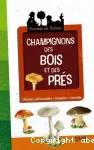 Champignons des bois et des prés vignette