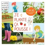 vignette