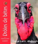 Drôles de bêtes vignette