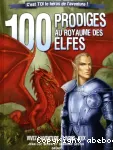 100 prodiges au royaume des elfes vignette