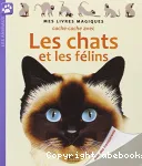 Cache-cache avec les chats et les félins vignette