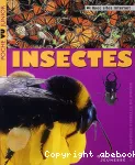 Insectes vignette