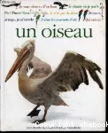 Qui suis-je ? un oiseau vignette