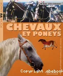 Chevaux vignette