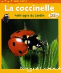 La coccinelle : petit ogre du jardin vignette