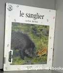 Le sanglier, cochon des bois vignette