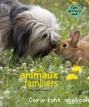 Les animaux familiers vignette