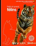 Petits et grands félins vignette