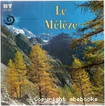 Le mélèze vignette