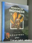 Mission en Indonésie vignette
