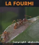 La fourmi vignette