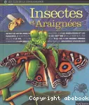Les insectes et les araignées vignette