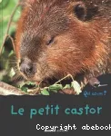 Le petit castor vignette