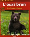 L' ours brun vignette
