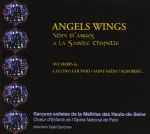 Angel wings vignette