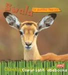 Swala, la petite impala vignette