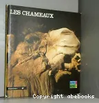 Les Chameaux vignette