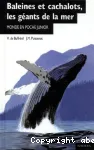 Baleines et cachalots, les géants de la mer vignette