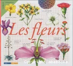 Les fleurs vignette
