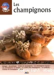 Les champignons vignette