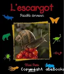 L'escargot, paisible dormeur vignette